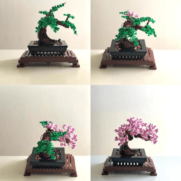 Bonsai | 878Piezas